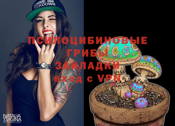 спиды Горнозаводск
