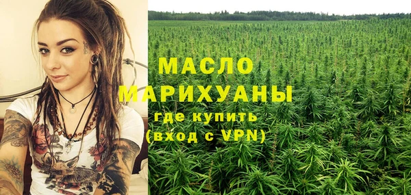 гидра Горно-Алтайск
