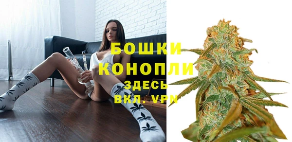 гидра Горно-Алтайск