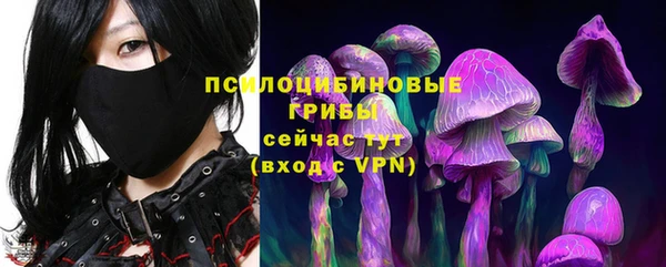 спиды Горнозаводск