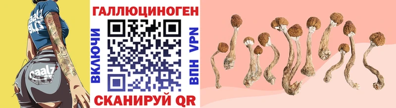 Галлюциногенные грибы Magic Shrooms  Купить закладки  Североморск 